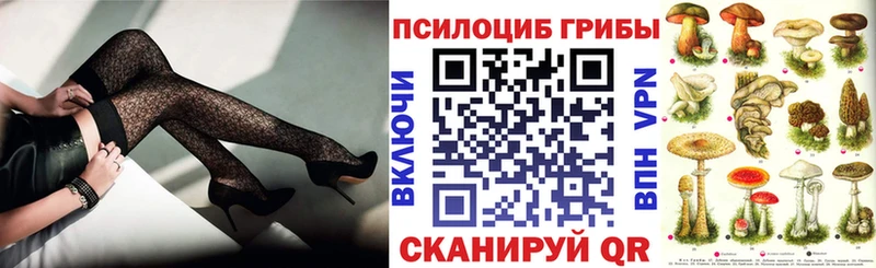 Купить где  Рыбное  Псилоцибиновые грибы Cubensis 
